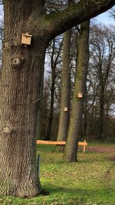 Ziel ist es, mit den Nistkästen Meisen anzulocken, die dort sesshaft werden und die Population des Eichenprozessionsspinners (EPS) eindämmen.